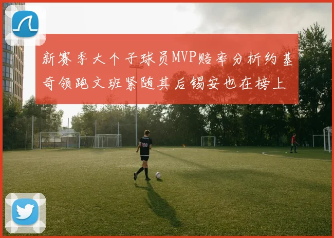 新赛季大个子球员MVP赔率分析约基奇领跑文班紧随其后锡安也在榜上