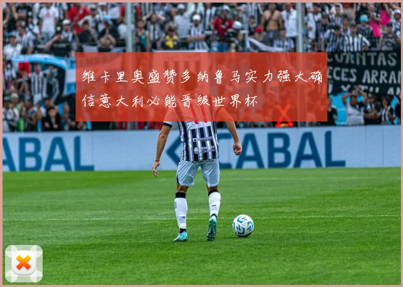 维卡里奥盛赞多纳鲁马实力强大确信意大利必能晋级世界杯